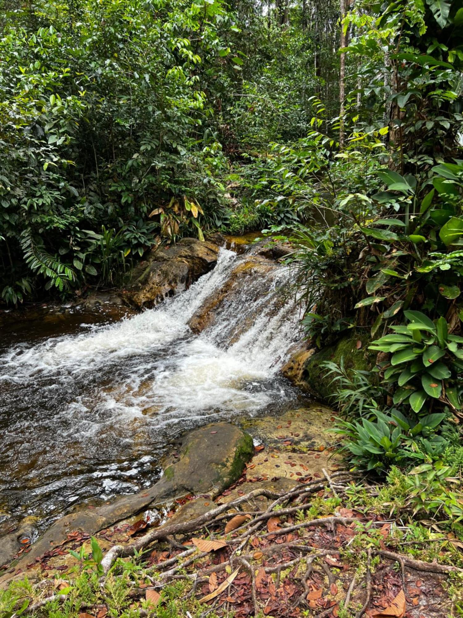 Pousada Paraiso Do Calango Azul Presidente Figueiredo Bagian luar foto