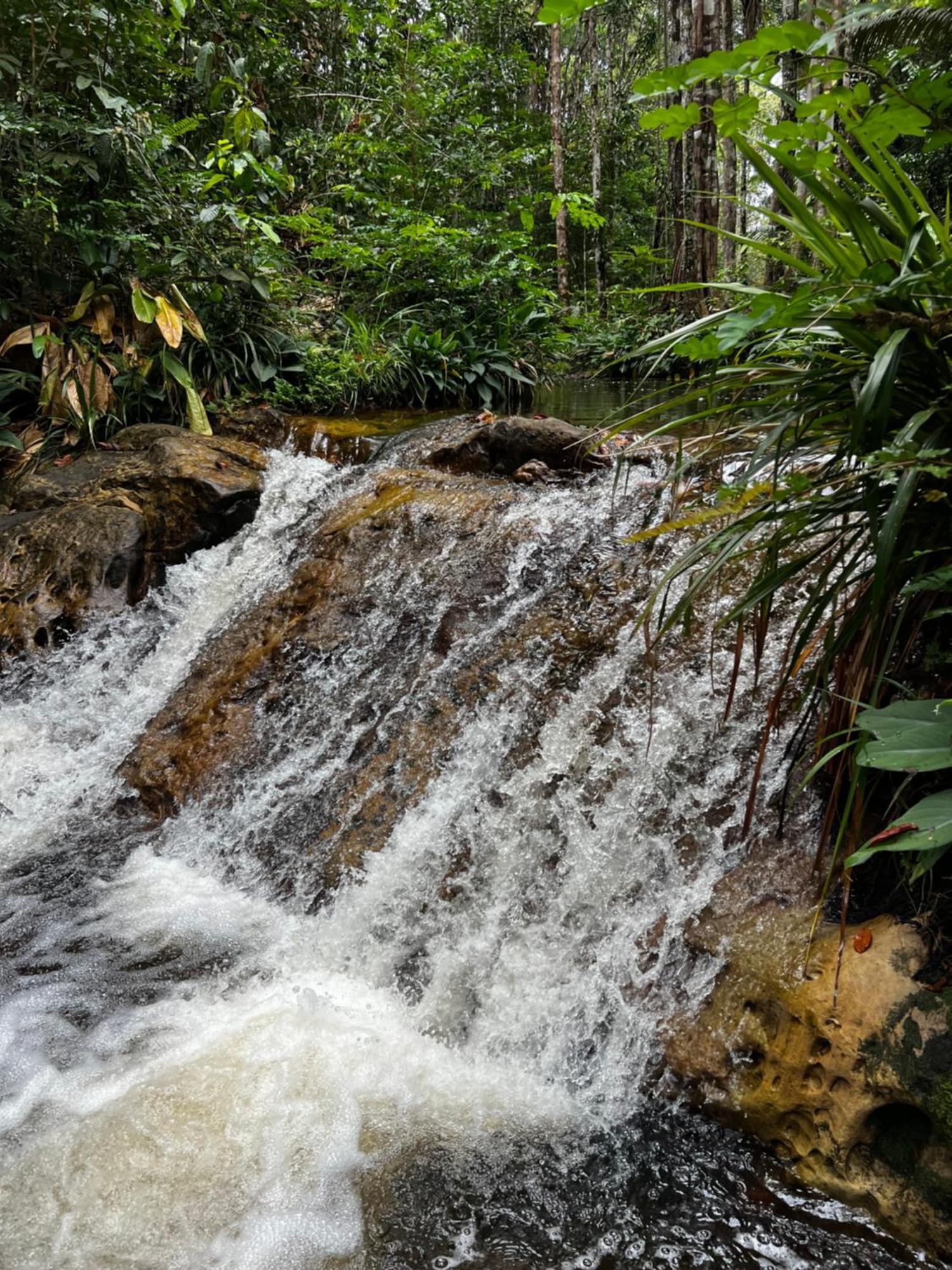 Pousada Paraiso Do Calango Azul Presidente Figueiredo Bagian luar foto