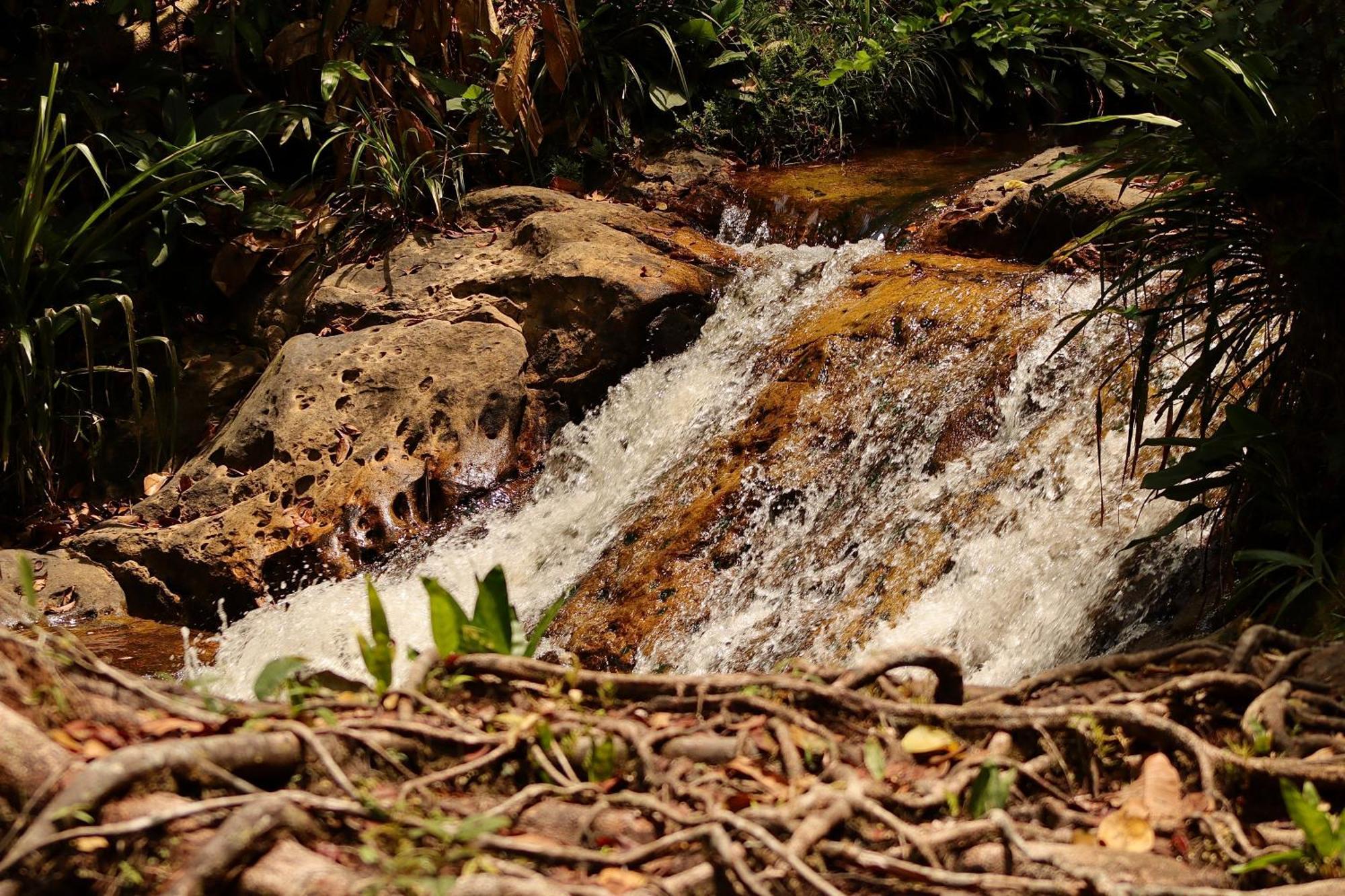 Pousada Paraiso Do Calango Azul Presidente Figueiredo Bagian luar foto