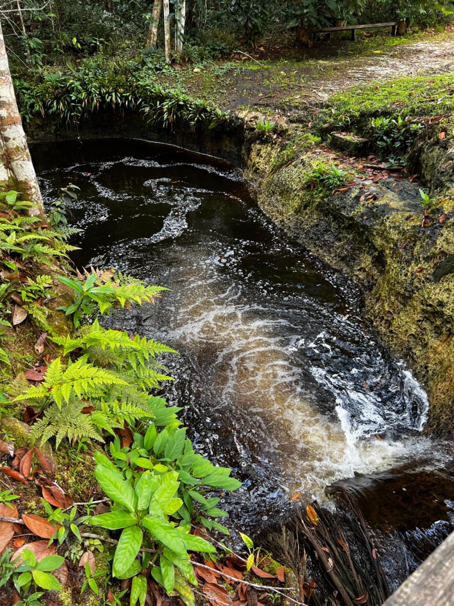 Pousada Paraiso Do Calango Azul Presidente Figueiredo Bagian luar foto