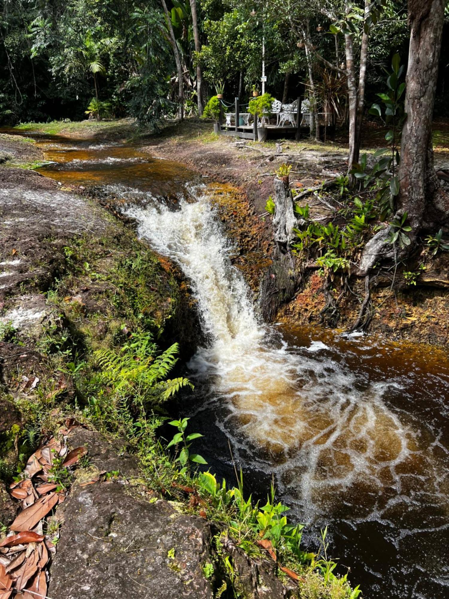 Pousada Paraiso Do Calango Azul Presidente Figueiredo Bagian luar foto