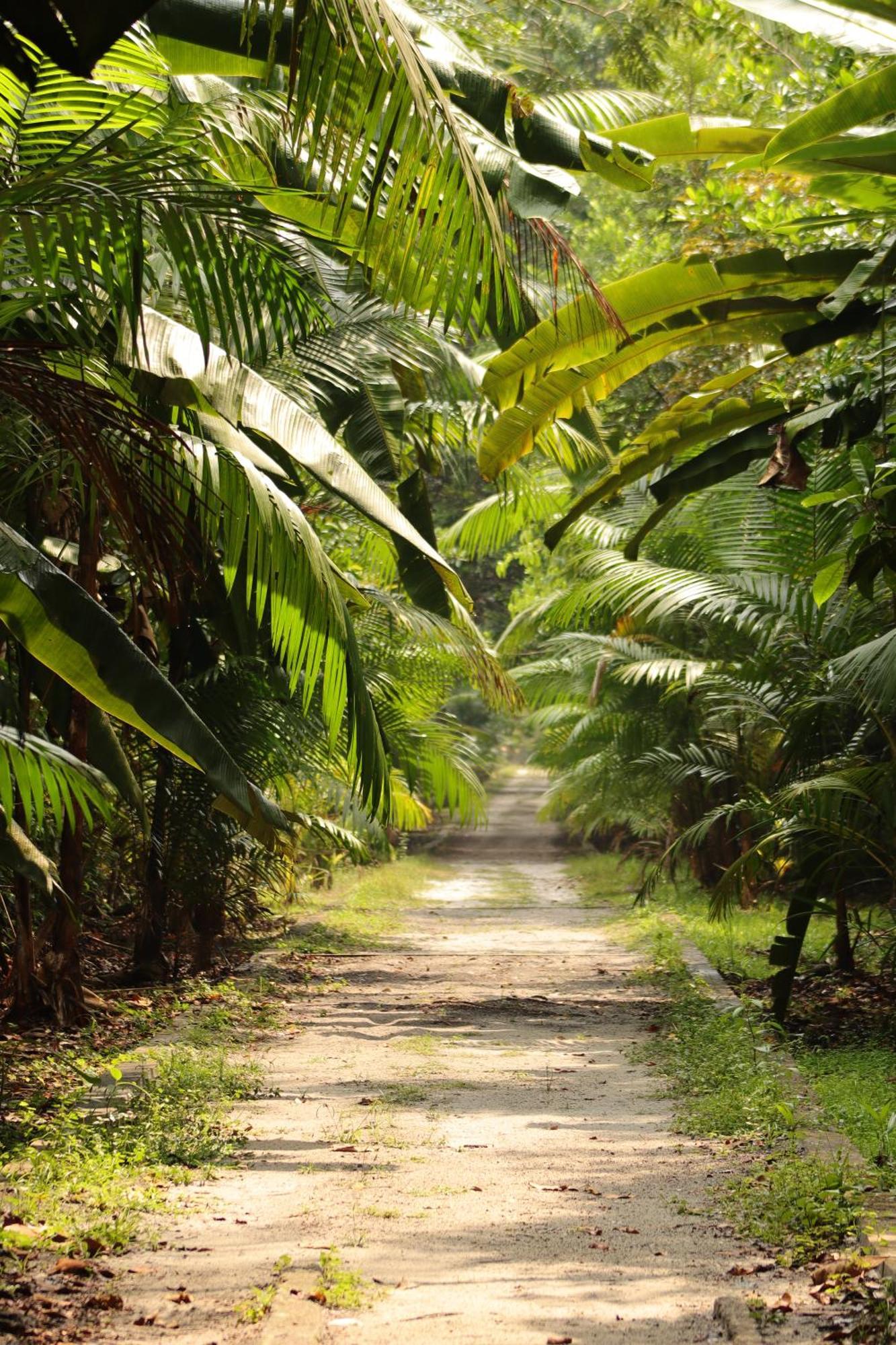 Pousada Paraiso Do Calango Azul Presidente Figueiredo Bagian luar foto